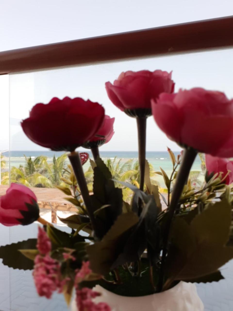 Aquastar By Rt Vacation Rentals Mahahual Luaran gambar